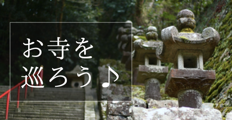 cook 今日なに作ろ？